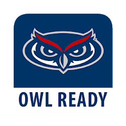 تطبيق Owl Ready