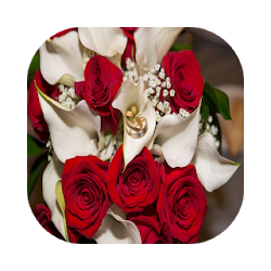 تطبيق Flores para mi amor