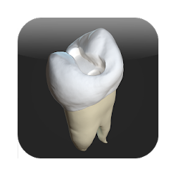 CavSim  Dental Cavity Trial
