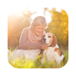 How to Train Your Dog