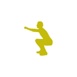 تطبيق 300 Squats