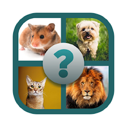 لعبة Gaseste animalul