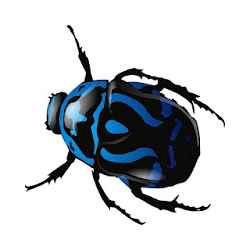 تطبيق BICHOS Y MARIPOSAS