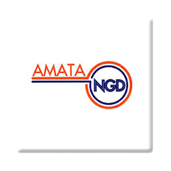 AMATA NGD Serve Customer Best