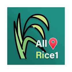 تطبيق All-Rice1