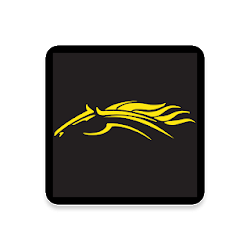Stallion Transportation Group Mobile App