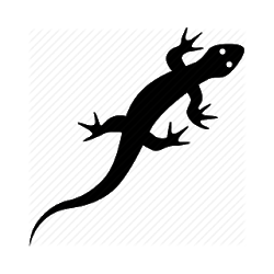 تطبيق Newt Watch