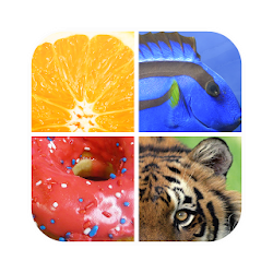 لعبة Guess The Word  Close Up Picture