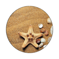 تطبيق Summer Wallpapers