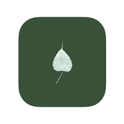 تطبيق Dharma Seed