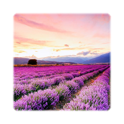 لعبة Free Jigsaw Puzzles