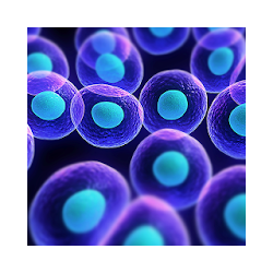 Organization of cells