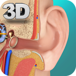 تطبيق Ear Anatomy Pro