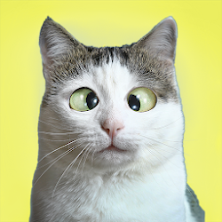 فيديو مضحك الحيوانات