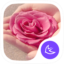 AROMA theme for APUS