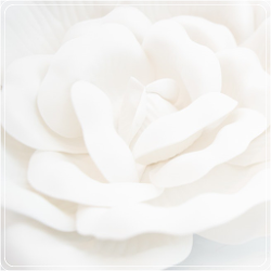 تطبيق White Wallpapers