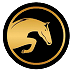 تطبيق 7 Star Stables