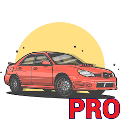 Hot Wheels Collection - Pro