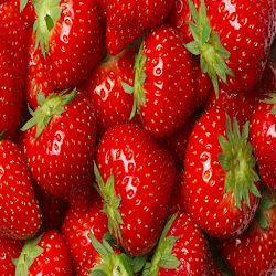 strawberry wallpaper