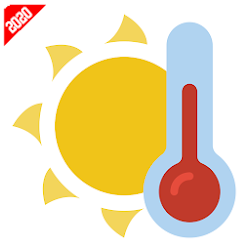 Room Temperature Thermometer - Meter