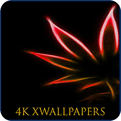 تطبيق 4K XWallpaper