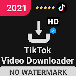 Video Downloader App TikTok No Watermark