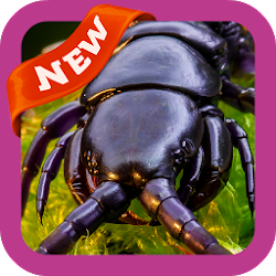 تطبيق Centipede Wallpaper