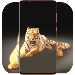 تطبيق Tiger Wallpaper HD