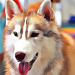 لعبة Breeds Ultimate Dog Knowledge