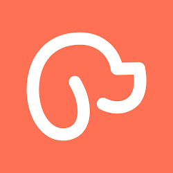 Pupy - Welpen  Hundetraining