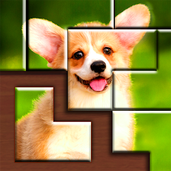 لعبة Jigsaw Puzzles Blocks