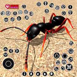 لعبة Ant Colony Tiny Bug Games