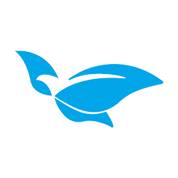 تطبيق SY Bazzar