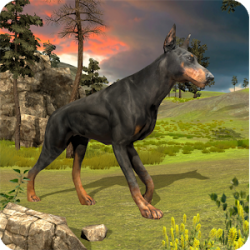 بقاء  الكلاب على قيد الحياة Dog Survival