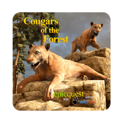 Cougars of the Forest