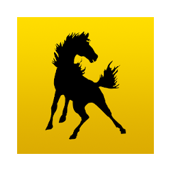 Mullen Public School Broncos