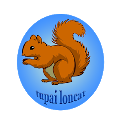 squirrel wood jumping