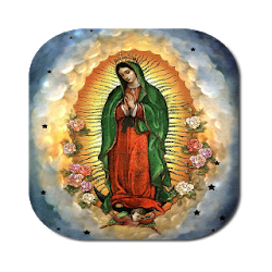 Virgen de Guadalupe