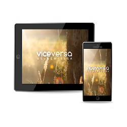 Revista Viceversa