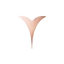 Soul Pilates and Barre