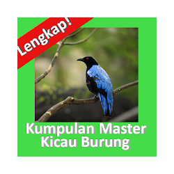 Master Burung Kicau Lengkap