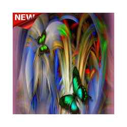 خلفيات للفراشة رائعة