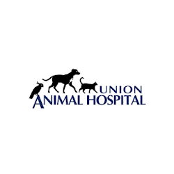 Union Animal Hospital