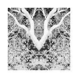 Black  White wallpapers