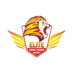 Elite Royal Pigeon Society