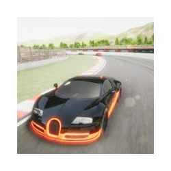 Race Track Real Simulator