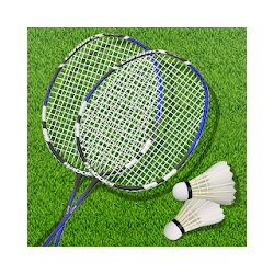 3D Pro Badminton Championship - Sports Game
