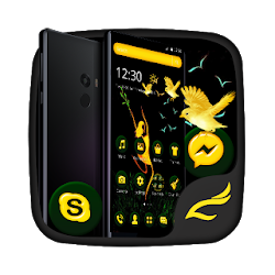 Black Gold Dancing Girl Theme