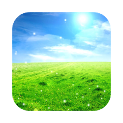 Landscape HD Video Wallpaper