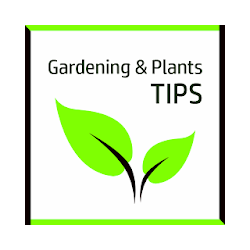 Gardening Videos